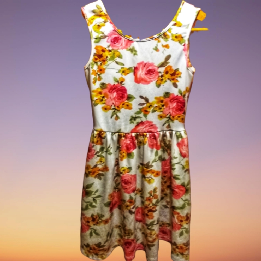 Sapphire Dolls white floral rose mini dress